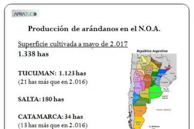 Arándanos: los aspectos cuarentenarios concentraron las preguntas de la delegación oriental