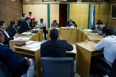 Zelaya afirma que conducirá el Concejo durante un año más