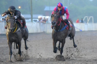Apareció en la más brava
