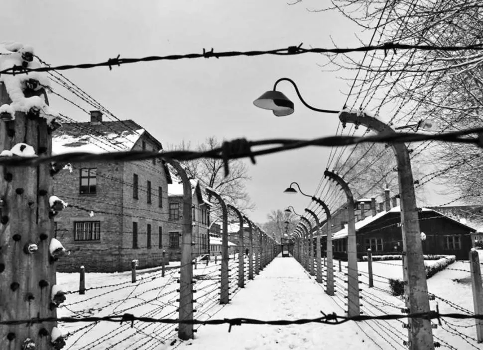 “ZONA GRIS”. En el campo de concentración víctima y verdugo están en el umbral de lo humano. ocdn.eu
