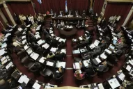 Pacto con Irán: cómo votaron Rojkés de Alperovich, Cano y el resto de los parlamentarios tucumanos