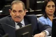 Alperovich: por más que muchos critiquen mi trabajo en el Senado, no voy a aflojar