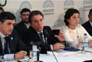 Una senadora tucumana deberá intermediar entre Cristina, Esteban Bullrich, Cobos y Pichetto