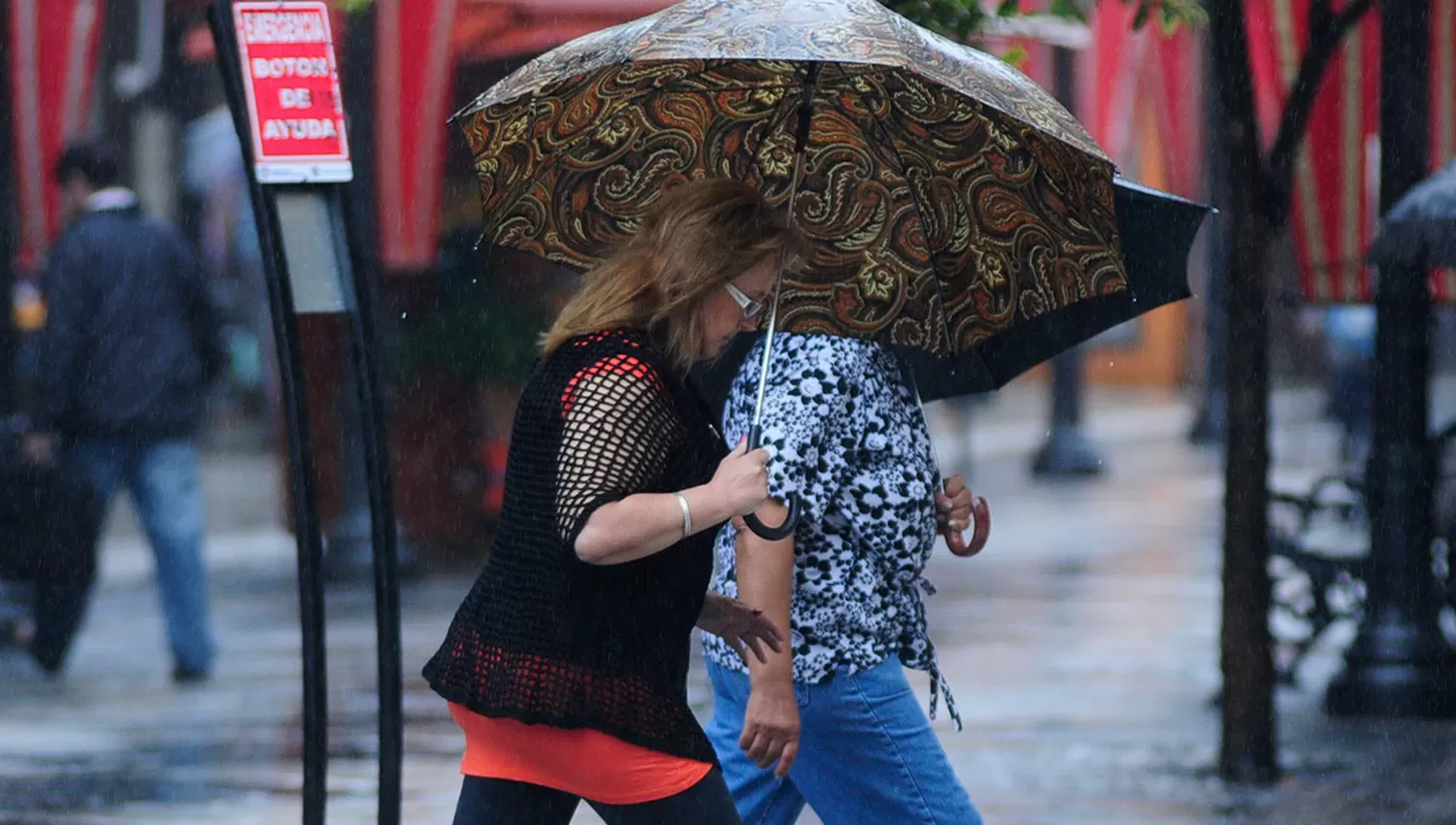 Se esperan lluvias hasta el sábado a la tarde. LA GACETA/FOTO DE ANALÍA JARAMILLO