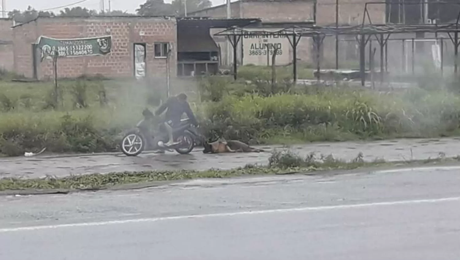 SIN PIEDAD. La perra terminó ensangrentada, con raspaduras y heridas cortantes en distintas partes de su cuerpo. 