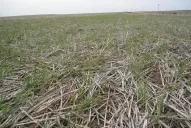 Crisis: Tucumán y Santiago