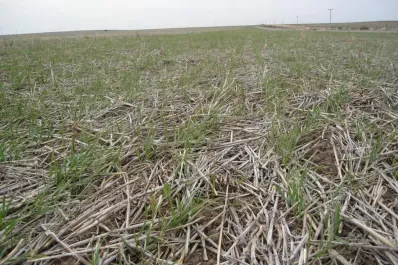 Crisis: Tucumán y Santiago