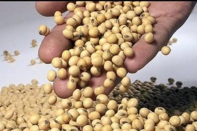 Ley de semillas: Etchevehere recibió un documento conjunto de entidades agropecuarias