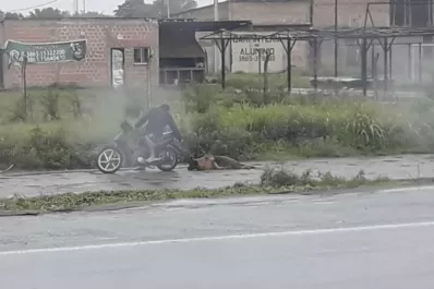 Indignación en Aguilares por un joven que arrastró a una perra hasta dejarla malherida