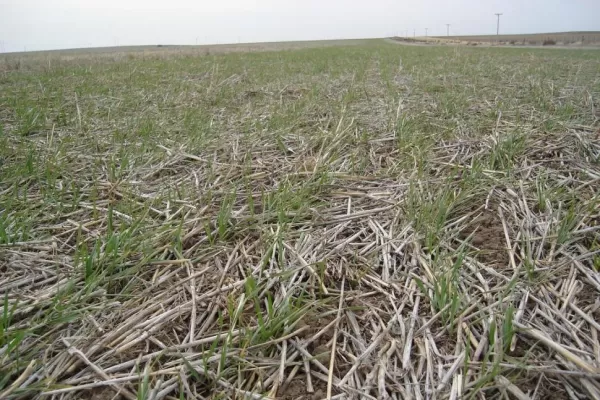 Crisis: Tucumán y Santiago