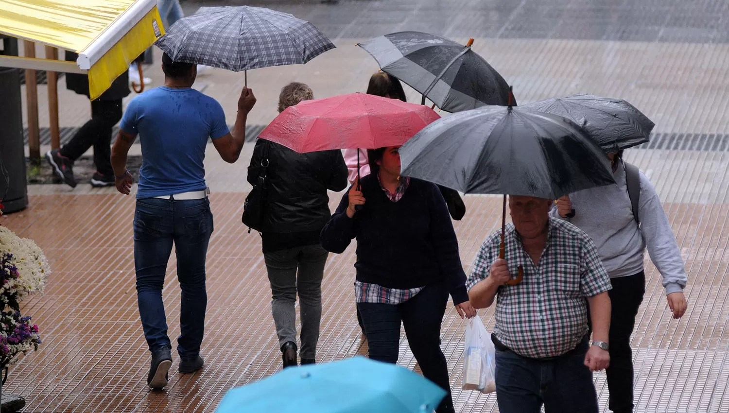 LA GACETA/FOTO DE ANALÍA JARAMILLO