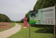 La tragedia de Loma Bola en siete claves: muerte, varias contradicciones y una detención