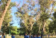 El físico ya no se cuida como antes en Atlético