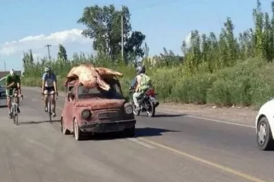 Volcó un camión frigorífico y la gente se llevó la carne hasta en el techo de los autos