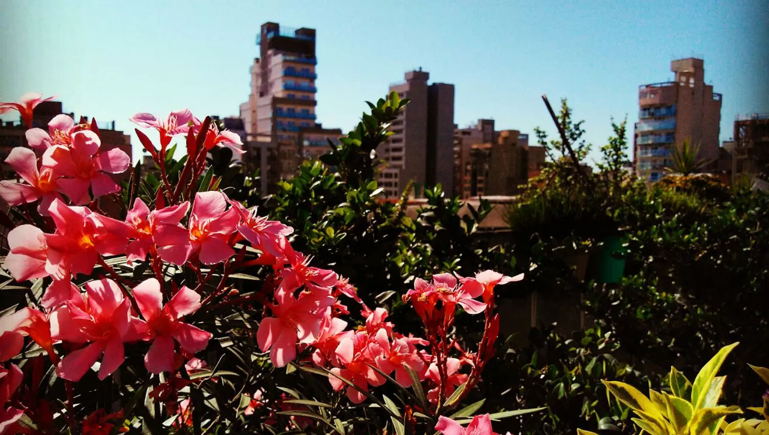 FOTO DE JORGE OLMOS SGROSSO / LA GACETA