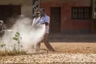 Aúnan esfuerzos para luchar contra las langostas