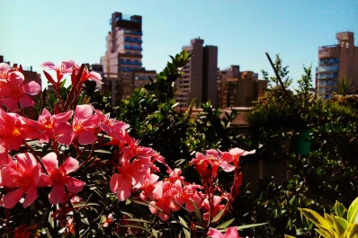 Mucho sol para cerrar el fin de semana