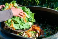 Cocina verde: cinco ideas para reusar los desperdicios diarios