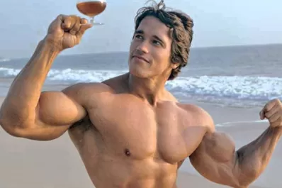 Bautizan a la mosca más pequeña del mundo con el nombre de Schwarzenegger