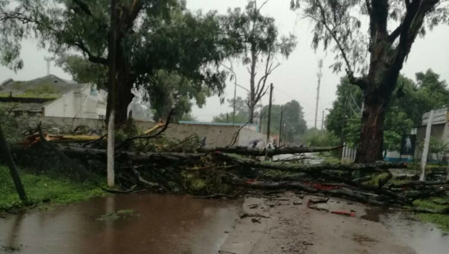 Calles anegadas, árboles caídos y cortes de luz: cómo y dónde impactó el temporal en Tucumán