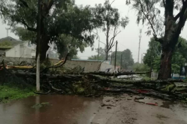 Calles anegadas, árboles caídos y cortes de luz: cómo y dónde impactó el temporal en Tucumán