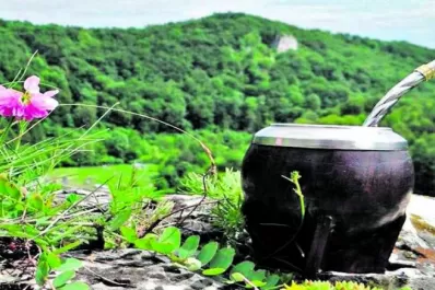 Millas de viajero: promueven la ruta de la Yerba Mate