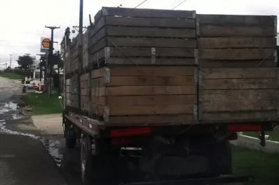 Secuestran cerca de siete toneladas de limón en Tafí Viejo