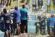 La foto que se volvió viral: ni el perro quiso perderse la goleada de Atlético