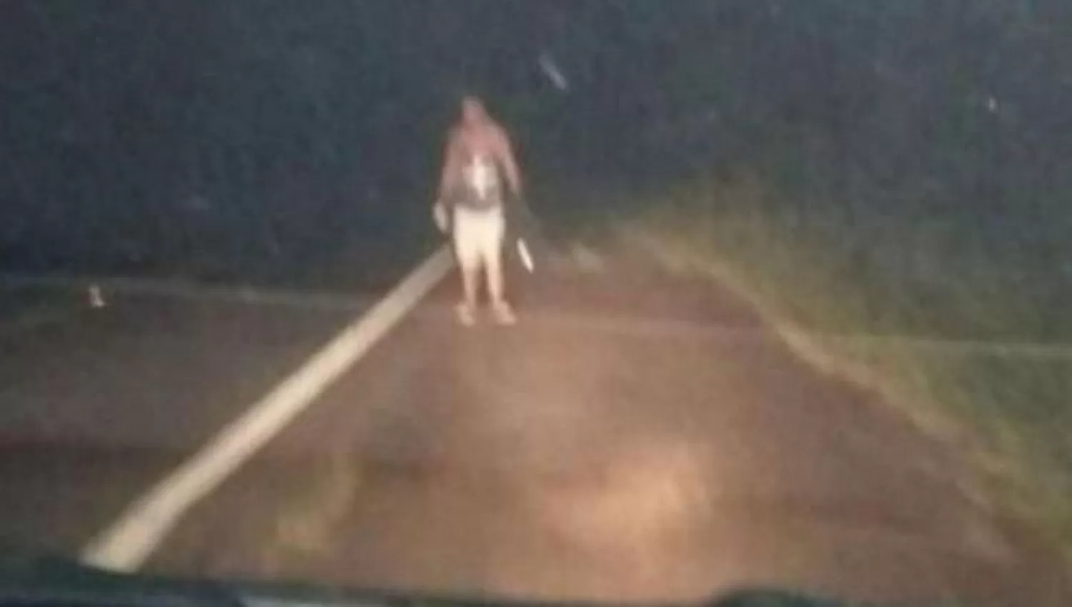 EL AMIGO OLVIDADO. FOTO TOMADA DE ELTRIBUNO.COM