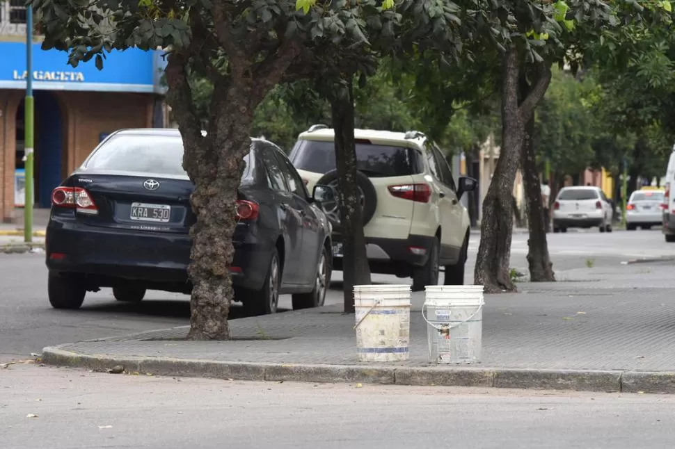 PLAZA SAN MARTÍN. Estacionamiento callejero en sus cuatro cuadras. la gaceta / foto de analía jaramillo