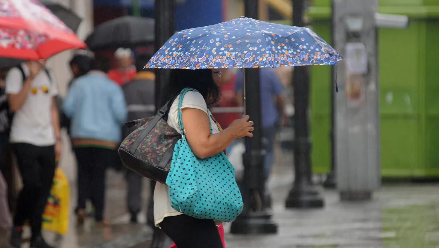 Anticipan un fin de semana con lluvias. LA GACETA/FOTO DE ANALÍA JARAMILLO