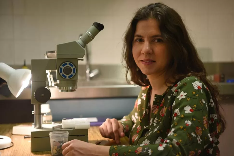 EN EL LABORATORIO. Virginia Albarracín, como tantas otras científicas, debe repartir su tiempo entre su profesión, su hijo y su hogar. la gaceta / foto de analía jaramillo