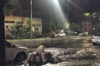 Los fuertes vientos dejaron árboles caídos en la capital y Yerba Buena