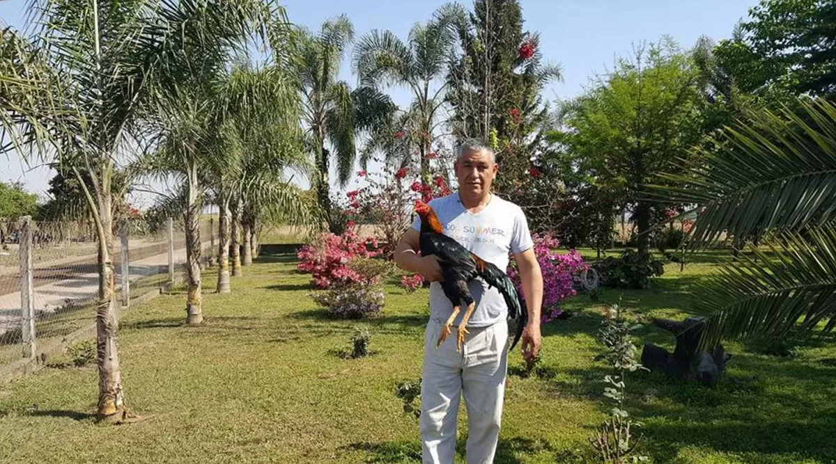 UNA PASIÓN. El jefe de la comisaría de Arcadia se dedica a la cría de gallos de riña y es reconocido por esa actividad en el sur de la provincia.