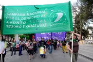 Insisten con un proyecto de interrupción del embarazo