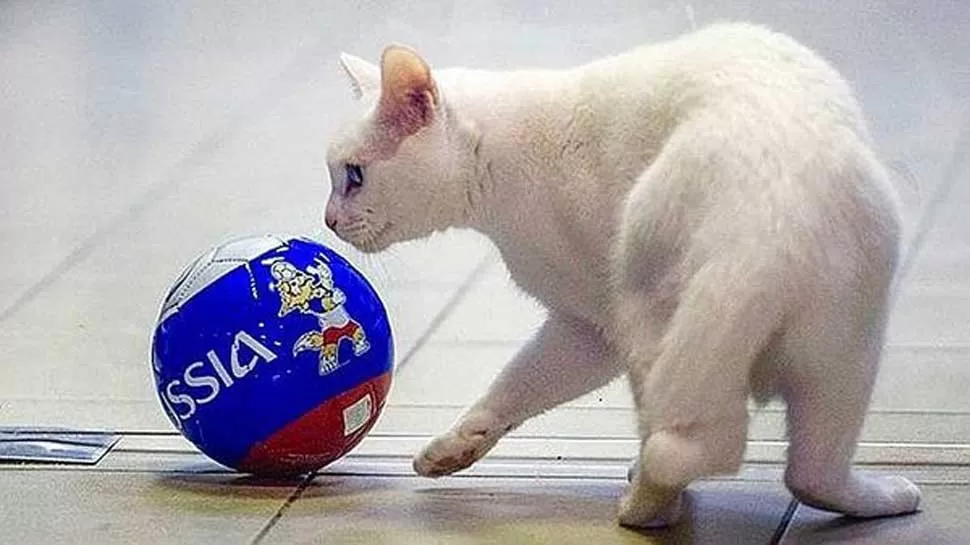 El Mundial tendrá su pronosticador oficial