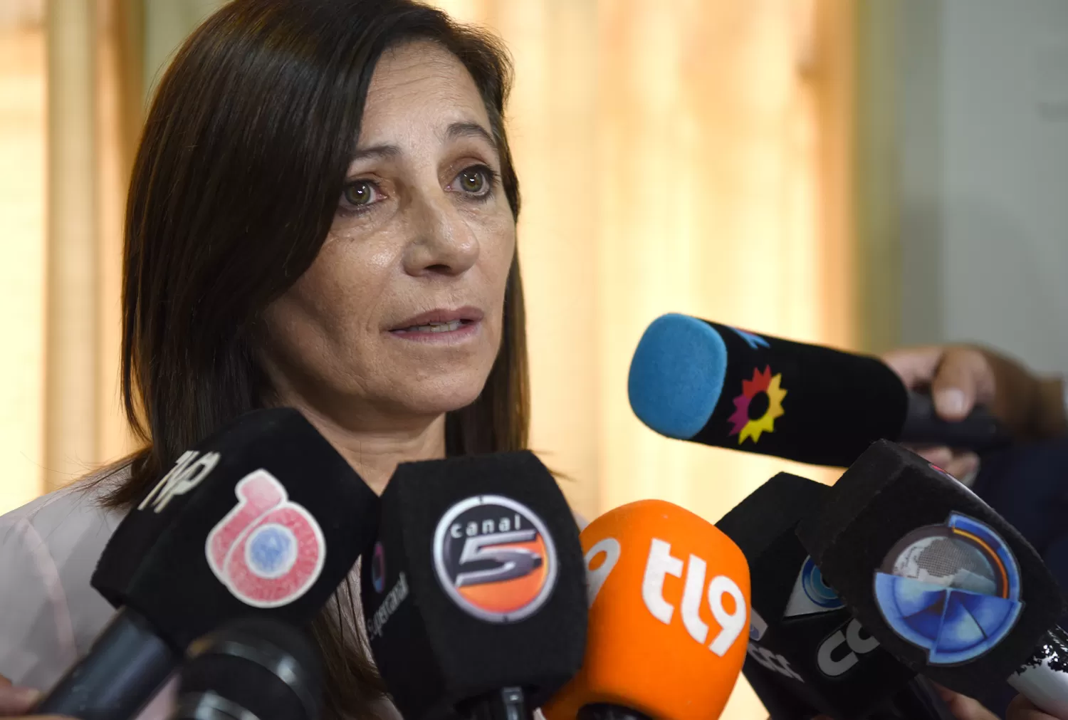 DECLARACIONES. La fiscala Adriana Giannoni, en una conferencia de prensa sobre el caso de Facundo Ferreira. FOTO LA GACETA/ JOSÉ NUNO.