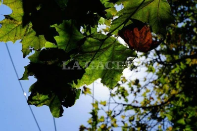 Sol y posibles lluvias por la tarde: el resumen del clima para el último día del fin de semana