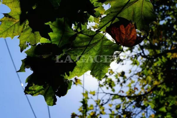 Sol y posibles lluvias por la tarde: el resumen del clima para el último día del fin de semana