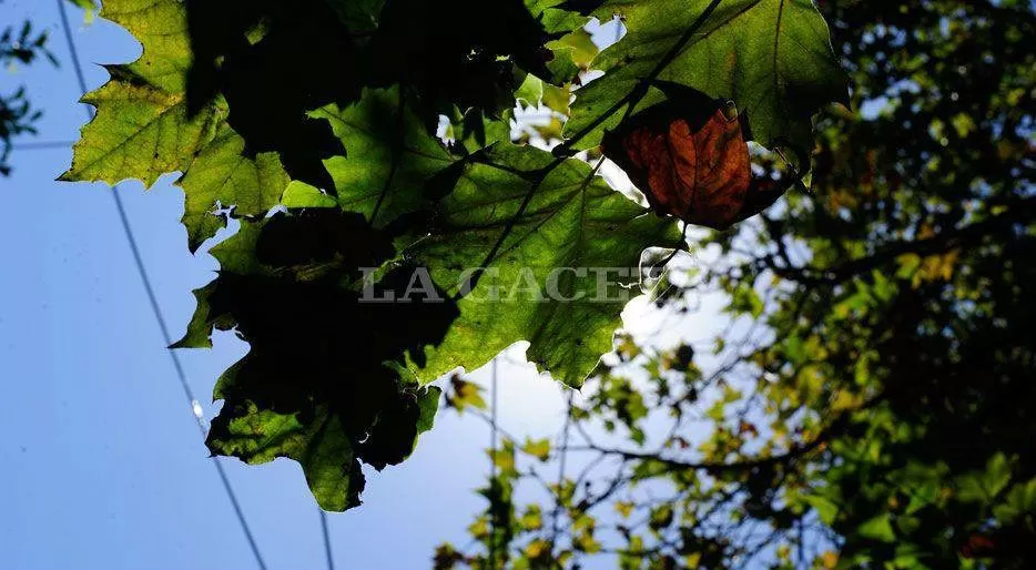 ARCHIVO LA GACETA / FOTO DE JORGE OLMOS SGROSSO
