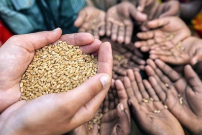 El hambre en el mundo aumentó el 11% en 2017