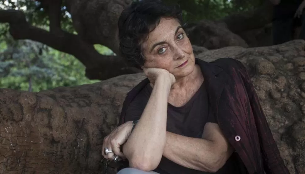 UNA OBRA BIEN LOGRADA. Massuh consigue hurdir un texto delicado y delicioso, en donde alternan lo biográfíco y lo autobiográfico. 