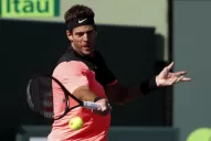 Del Potro, sin mayores dificultades, alcanzó los octavos