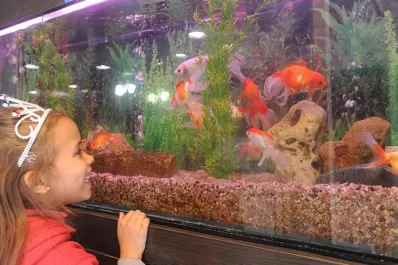 Ni perros ni gatos: las mascotas no convencionales ganan espacio