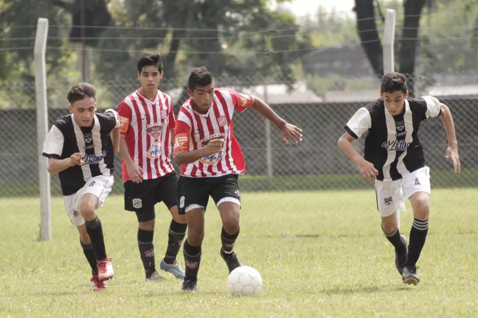  FOTOS DE ALEJANDRO CRUZ - LA GACETA / FOTOS DE ANALÍA JARAMILLO