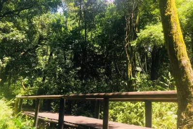 El jardín botánico ofrecerá a sus visitantes la posibilidad de disfrutar espectáculos teatrales y musicales