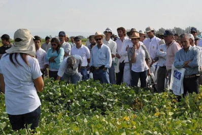 Día de campo sobre soja, maíz y poroto