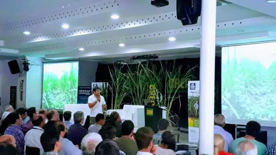 PROPUESTA. El ingeniero Sánchez Ducca presentando nuevos herbicidas. 