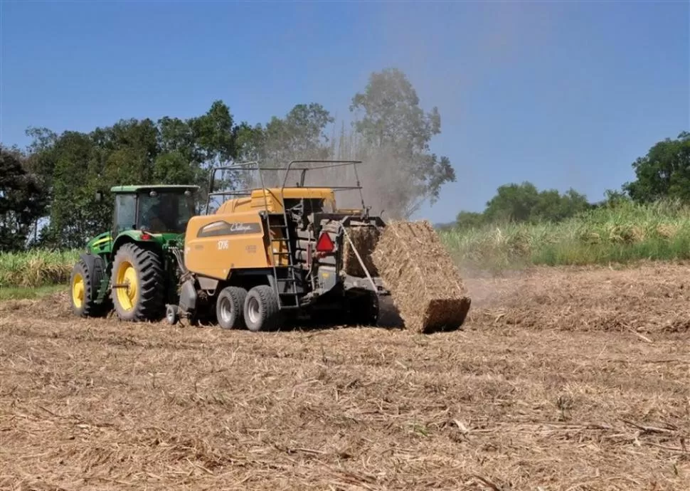 ENERGÍA. Es importante la producción de fardos en los lotes con RAC.  