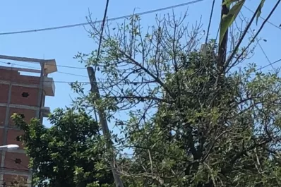 La Gaceta  en Whatsapp